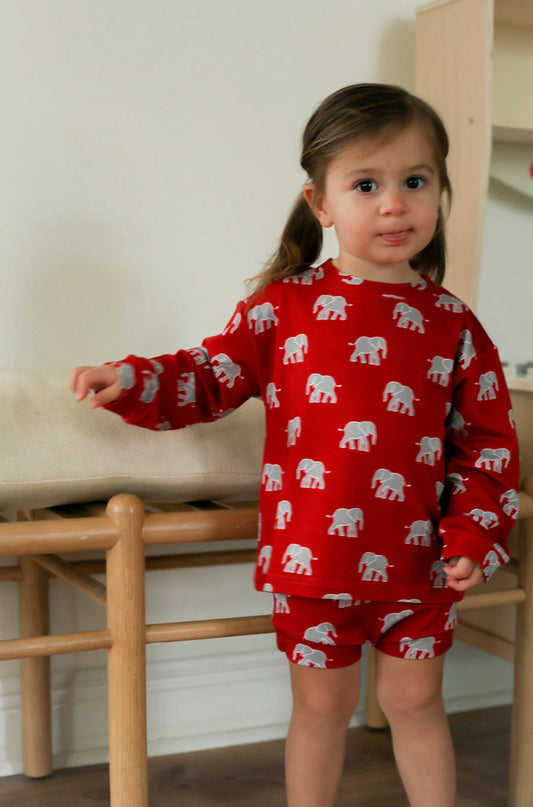 Crimson Elephant Bamboo Sweatshirt Set